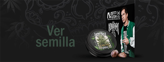 marihuana medicinal