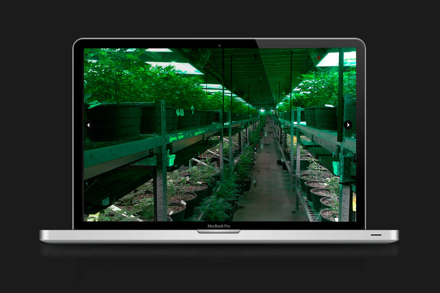 iluminar planta marihuana